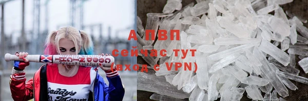 СК Богородицк